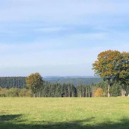 Magnificent Apartment In Willingen With Balcony Exteriör bild
